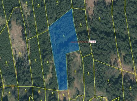 Prodej pozemku, les, 5 348 m²