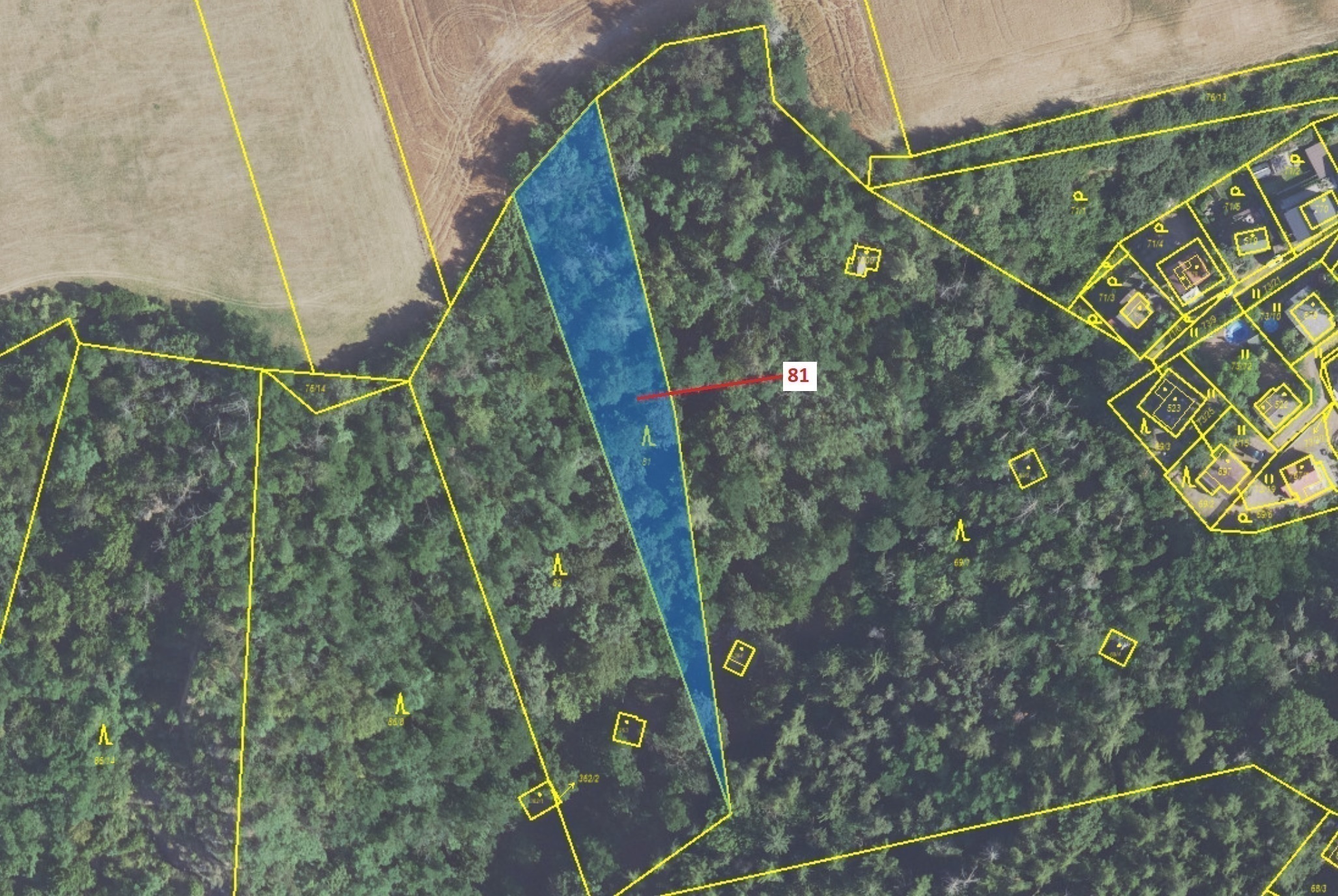 Lesní pozemek o výměře 1 816 m2, podíl 1/1, katastrální území Sýkořice, obec Sýkořice, obec s rozšíř