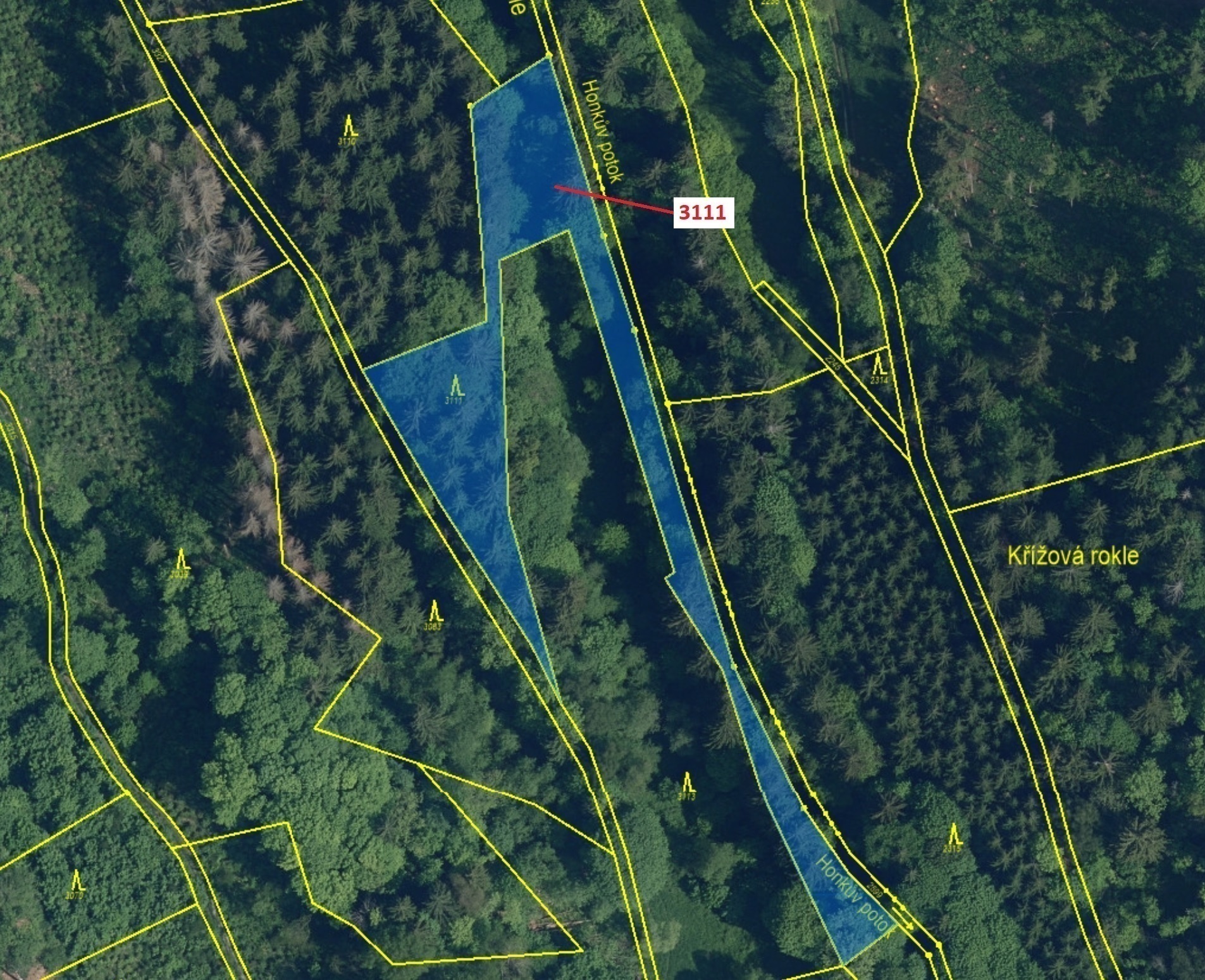 Lesní pozemek o výměře 2 958 m2, podíl 1/1, katastrální území Benešov u Semil, obec Benešov u Semil,