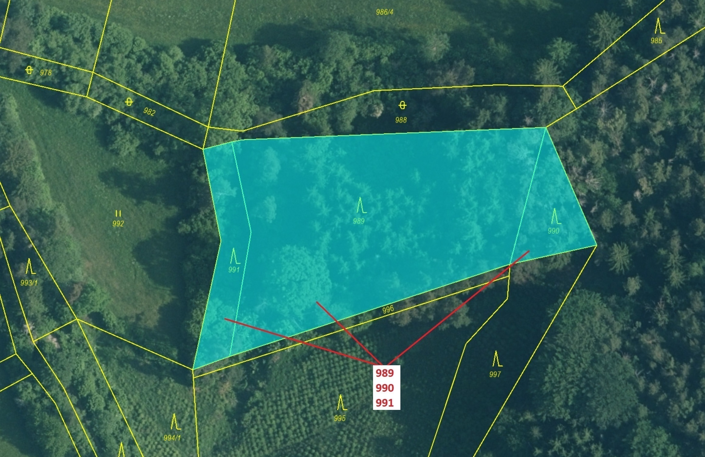 Lesní pozemky o výměře 4 276 m2, podíl 1/1, katastrální území Čepice, obec Rabí, obec s rozšířenou p