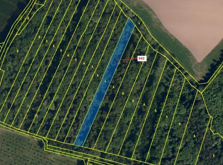 Prodej pozemku, les, 5 428 m²