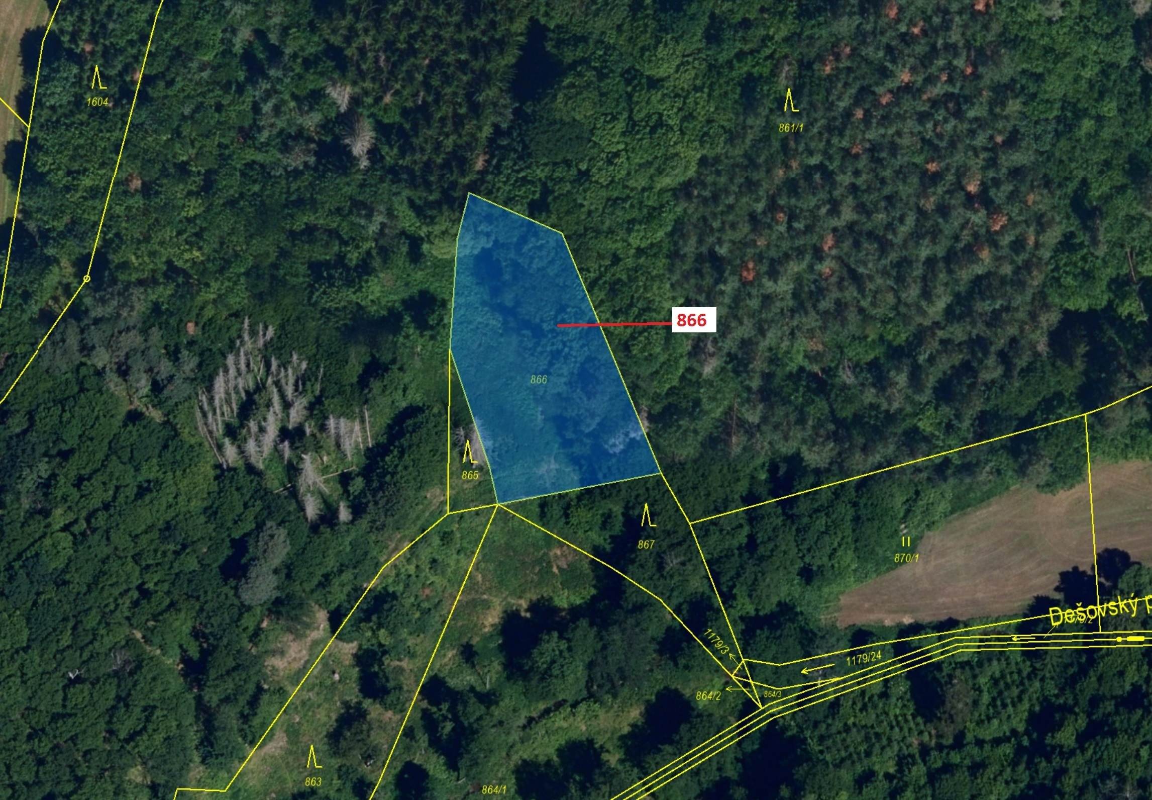 Ostatní plocha o výměře 1277 m2, podíl 1/1, katastrální území Malý Dešov, obec Dešov, obec s rozšíře