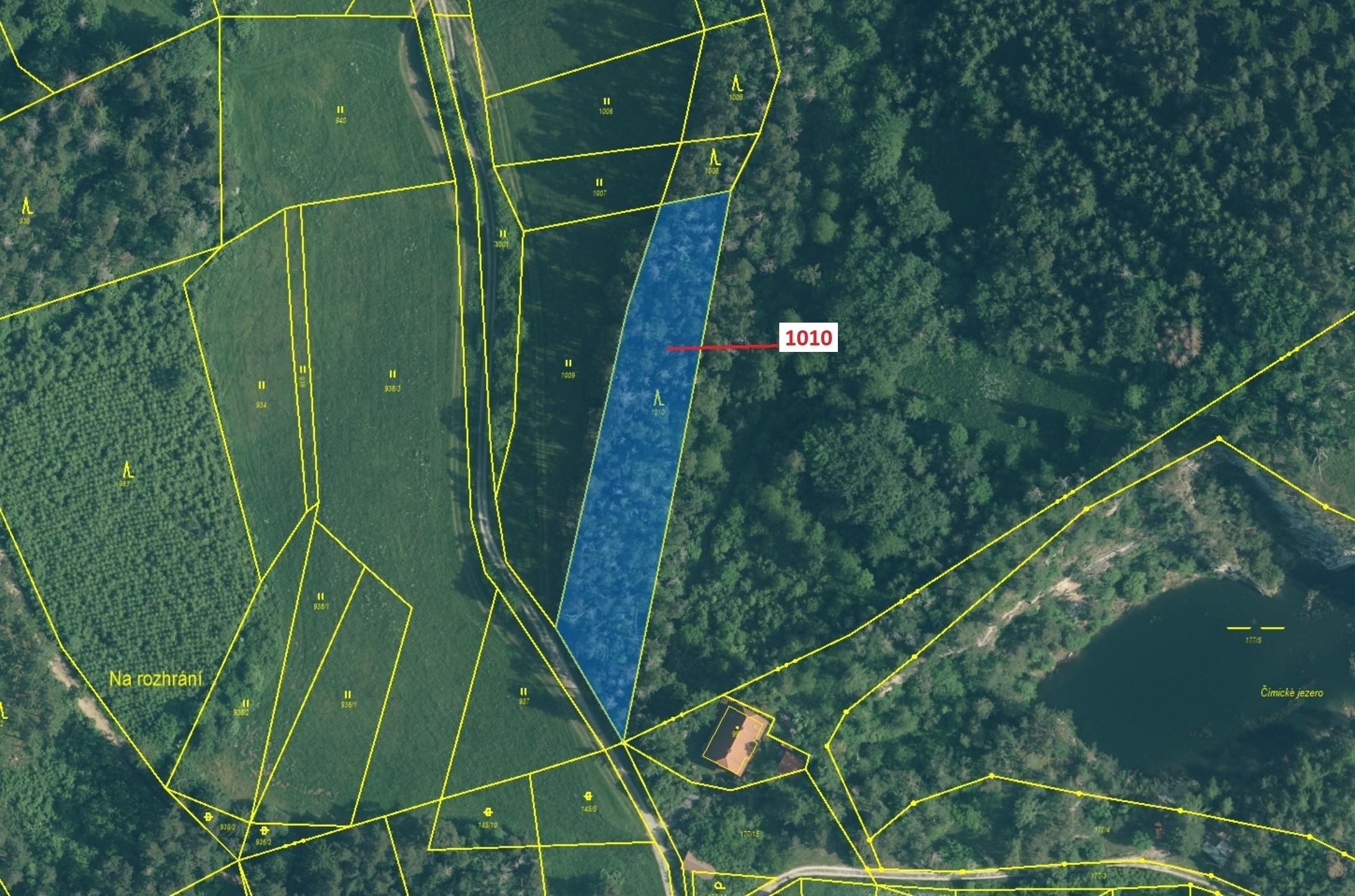Lesní pozemek o výměře 3 054 m2, podíl 1/1, katastrální území Čepice, obec Rabí, obec s rozšířenou p