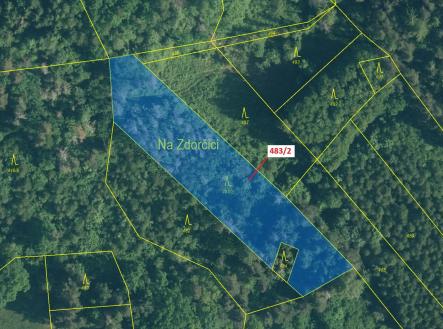 Prodej pozemku, les, 2 895 m²