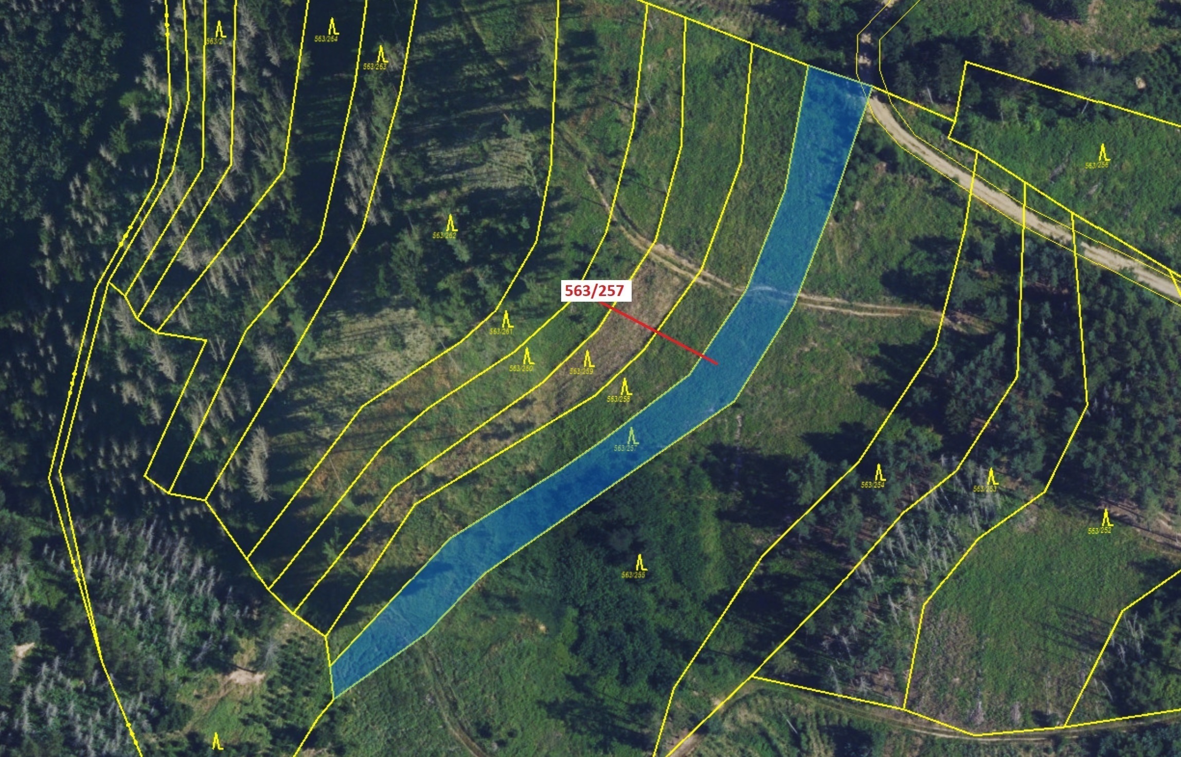 Lesní pozemek o výměře 2643 m2, podíl 1/1, katastrální území Spešov, obec Spešov, obec s rozšířenou 