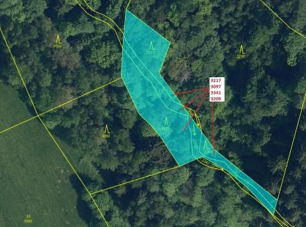 Prodej pozemku, les, 1 649 m²