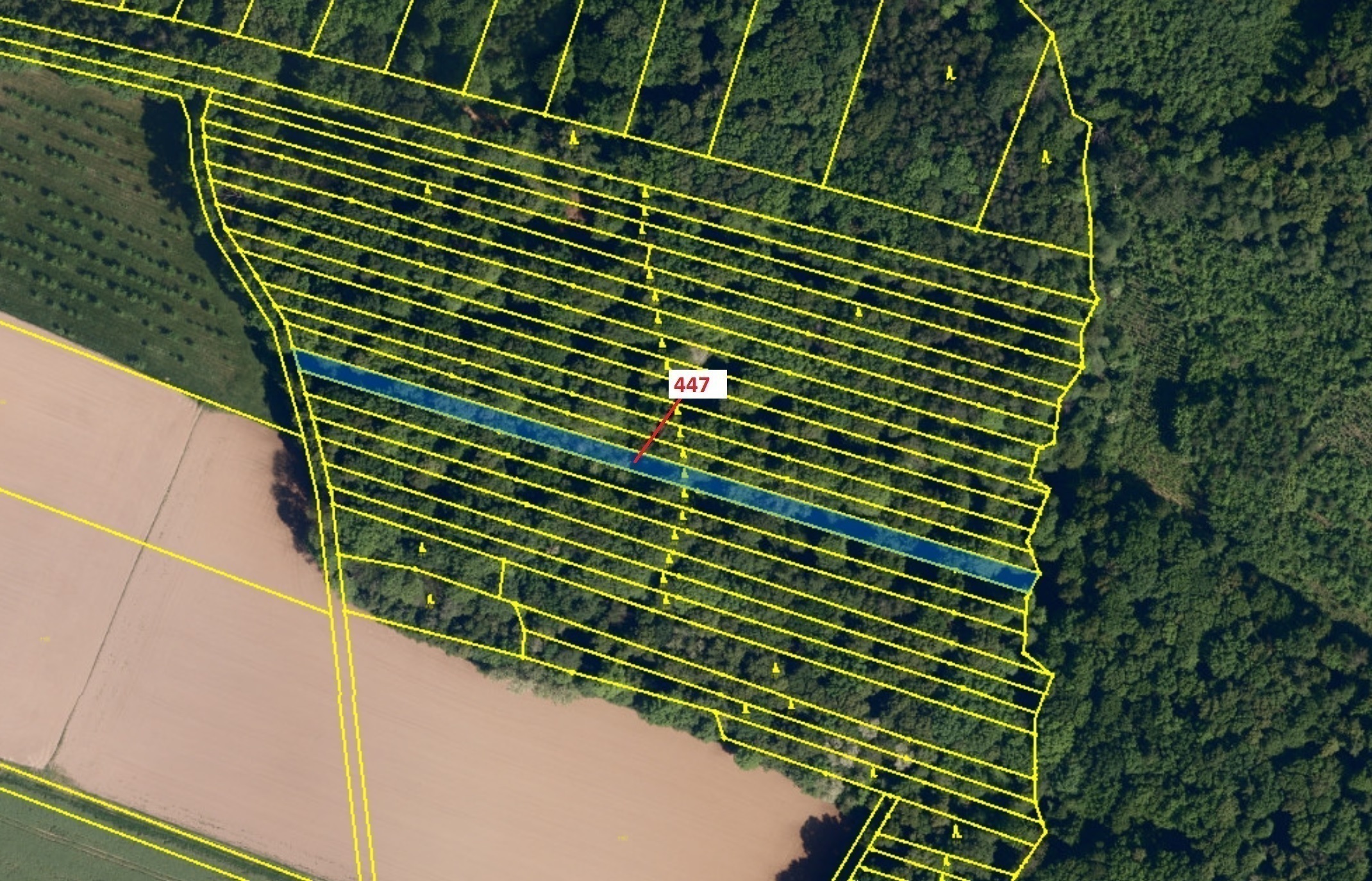 Lesní pozemek o výměře 1989 m2, podíl 1/1, katastrální území Hradčany na Moravě, obec Hradčany, obec