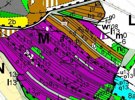 Prodej pozemku, les, 1 957 m²