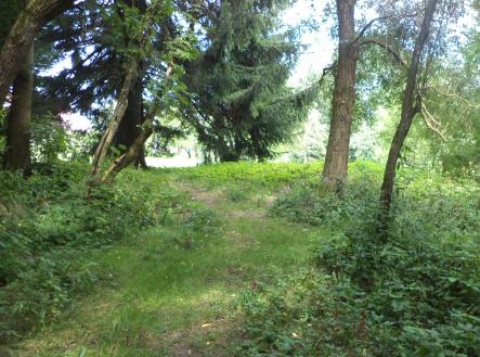 Prodej pozemku, trvalý travní porost, 5 224 m²