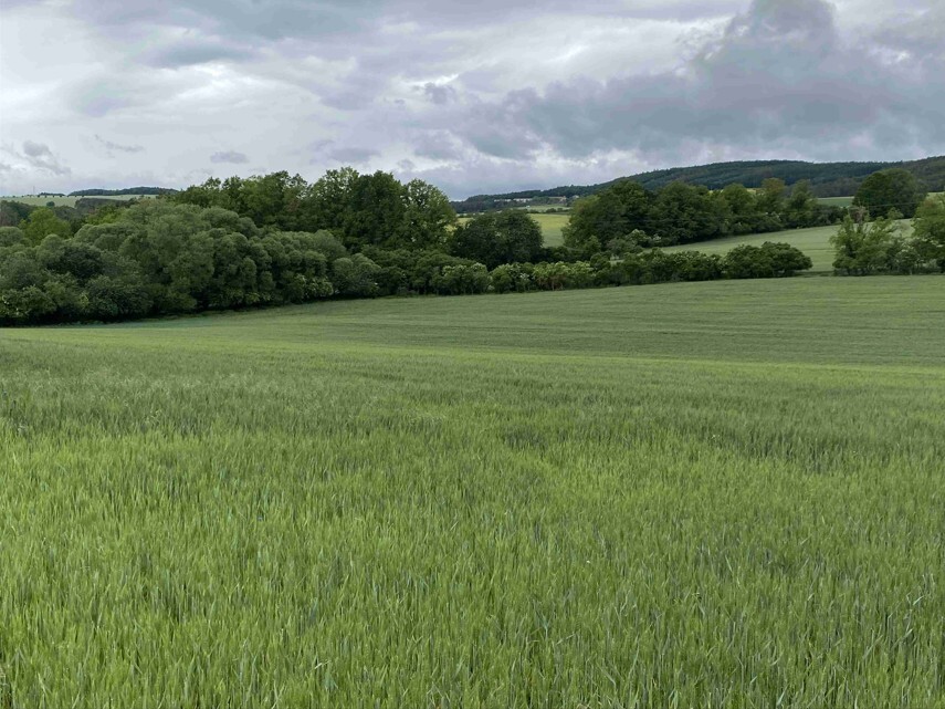 Pozemek o velikosti 22823m2, Malá Lečice