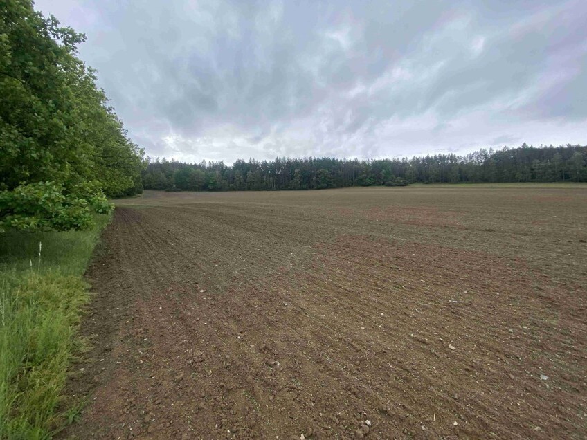 Pozemek o velikosti 22823m2, Malá Lečice