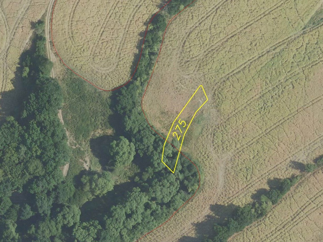 Pozemek o velikosti 22823m2, Malá Lečice