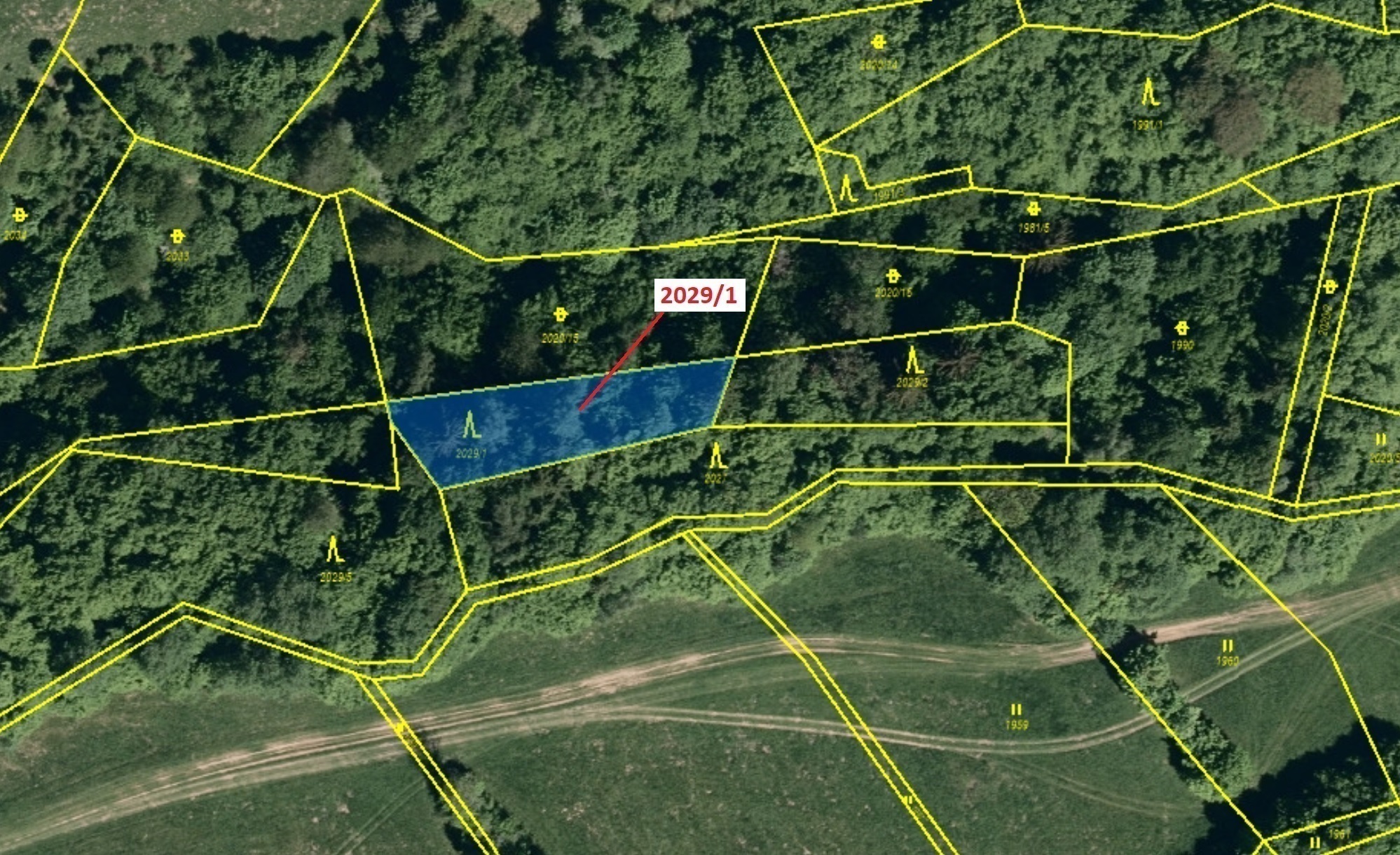 Lesní pozemek o výměře 680 m2, podíl 1/1, katastrální území Hovězí, obec Hovězí, obec s rozšířenou p