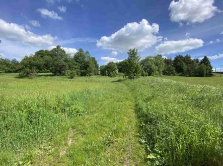 Prodej pozemku, ostatní, 1 831 m²