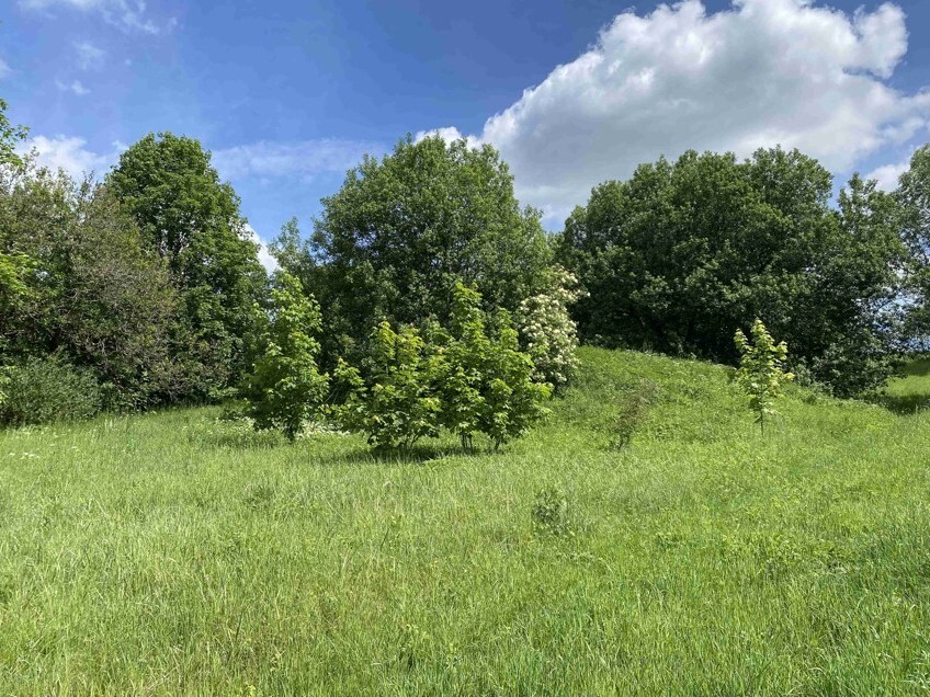 Pozemek o velikosti 1831m2, Stálkov