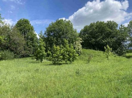 Prodej pozemku, ostatní, 1 831 m²