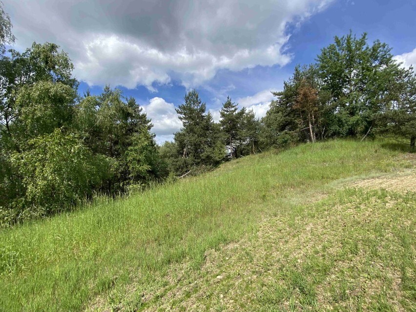 Pozemek o velikosti 1831m2, Stálkov