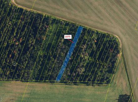 Prodej pozemku, les, 1 134 m²