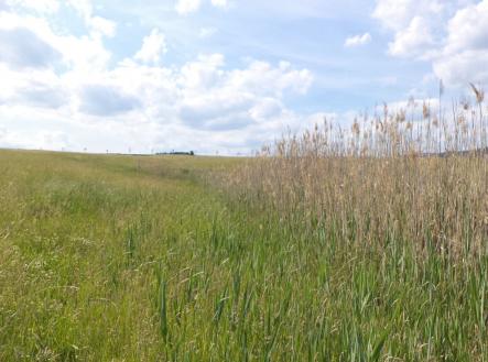 Prodej pozemku, ostatní, 2 273 m²