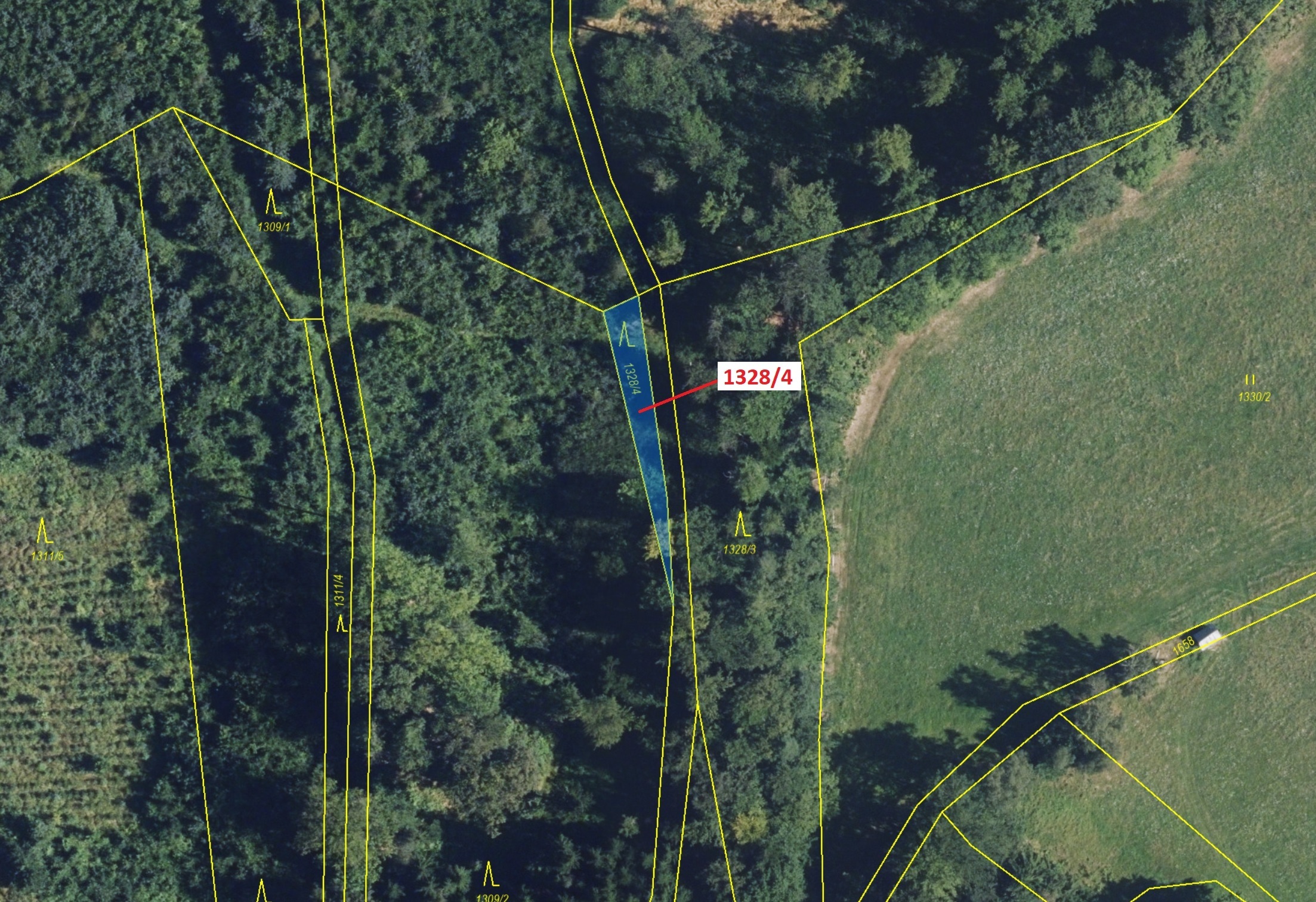 Lesní pozemek o výměře 199 m2, podíl 1/1, katastrální území Kladky, obec Kladky, obec s rozšířenou p