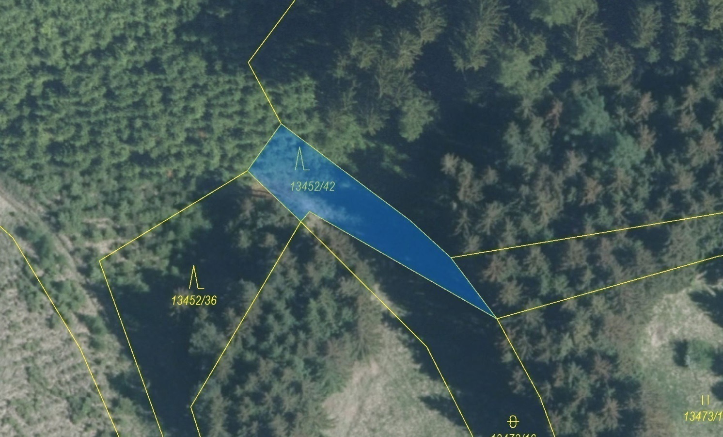 Lesní pozemek o výměře 335 m2, podíl 1/1, katastrální území Hovězí, obec Hovězí, obec s rozšířenou p