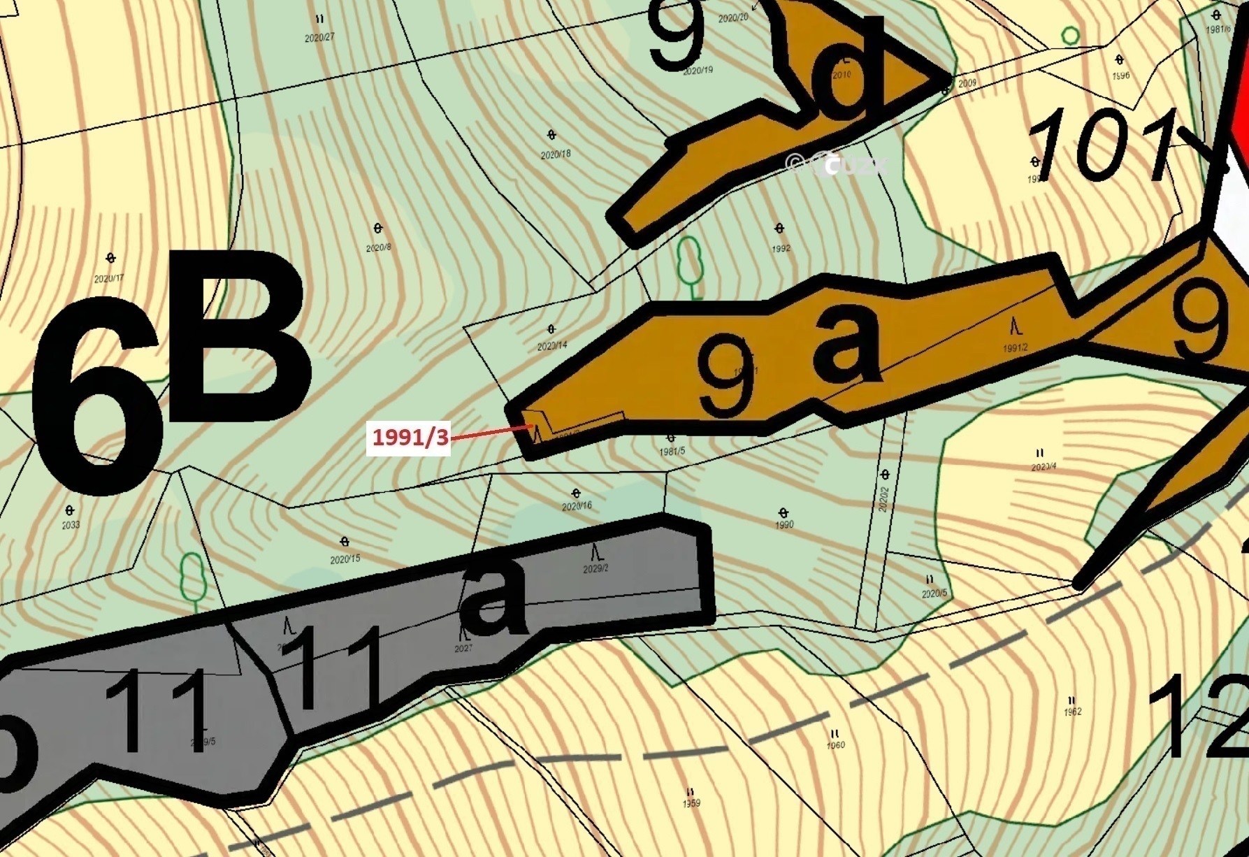 Lesní pozemek o výměře 115 m2, podíl 1/1, katastrální území Hovězí, obec Hovězí, obec s rozšířenou p