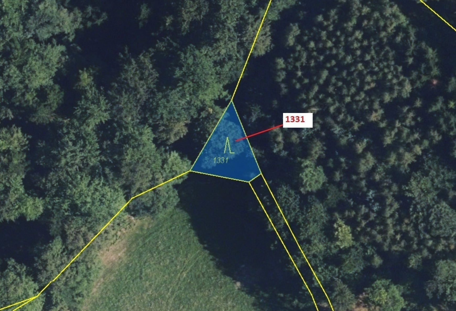 Lesní pozemek o výměře 183 m2, podíl 1/1, katastrální území Kladky, obec Kladky, obec s rozšířenou p