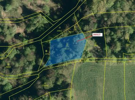 Prodej pozemku, les, 1 036 m²