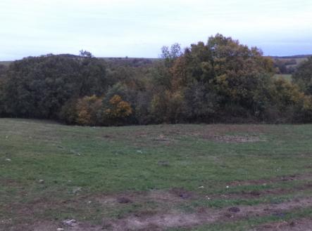 Prodej pozemku, trvalý travní porost, 1 707 m²