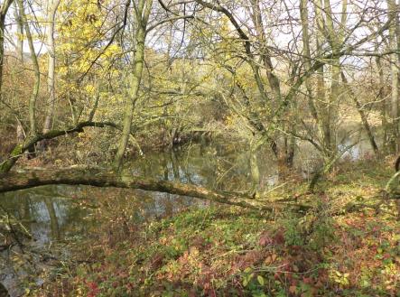 Prodej pozemku, ostatní, 810 m²