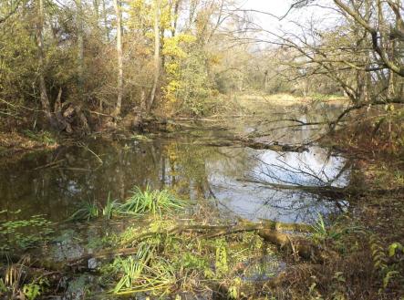 Prodej pozemku, ostatní, 810 m²