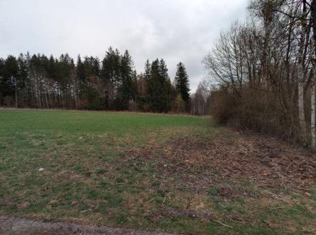 Prodej pozemku, trvalý travní porost, 2 986 m²