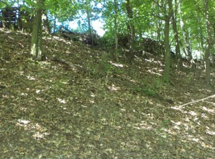 Prodej pozemku, trvalý travní porost, 675 m²