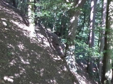 Prodej pozemku pro bydlení, 1 210 m²