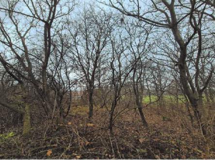 Prodej pozemku pro komerční výstavbu, 3 231 m²