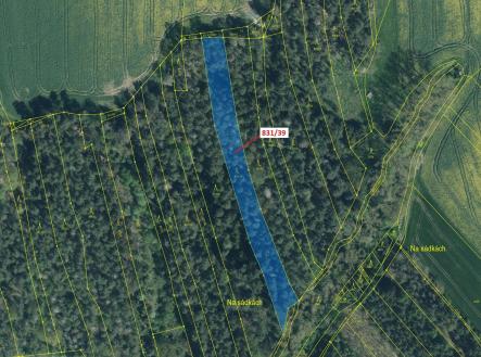 Prodej pozemku, les, 3 368 m²