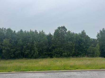 Prodej pozemku pro bydlení, 1 251 m²