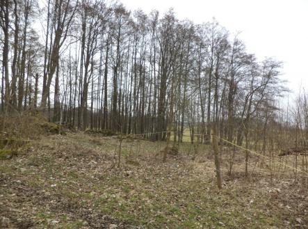 Prodej pozemku pro bydlení, 1 221 m²