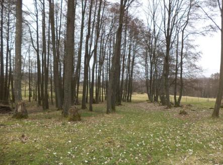 Prodej pozemku pro bydlení, 1 221 m²