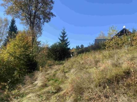 Prodej pozemku, trvalý travní porost, 179 m²