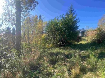 Prodej pozemku, trvalý travní porost, 179 m²