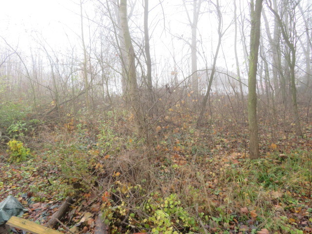 Dražba pozemků v obci Staré Město, okr. Svitavy