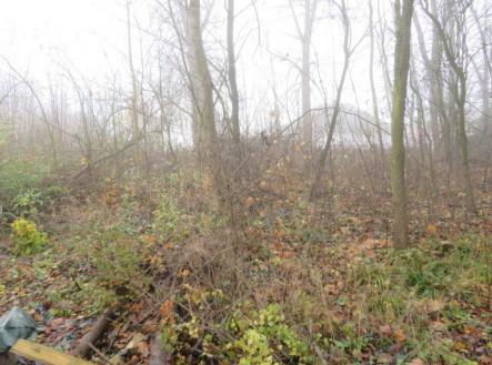 Prodej pozemku, zahrada, 490 m²