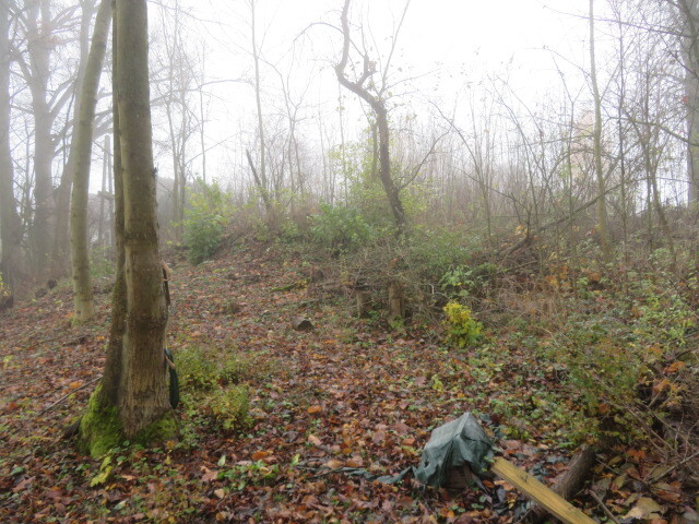 Dražba pozemků v obci Staré Město, okr. Svitavy