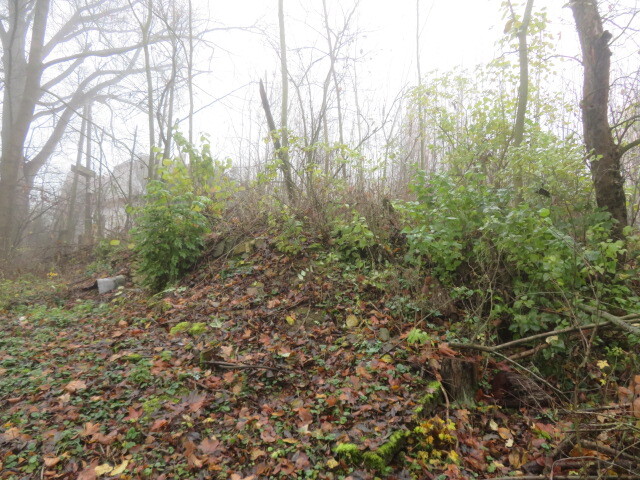 Dražba pozemků v obci Staré Město, okr. Svitavy