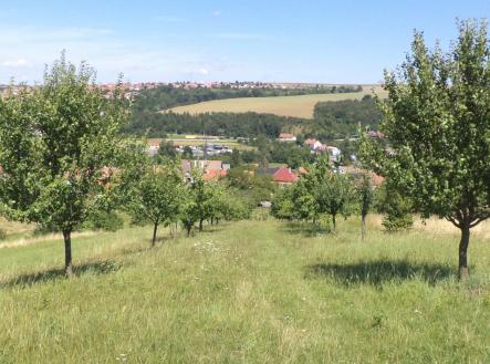 Prodej pozemku, trvalý travní porost, 10 906 m²