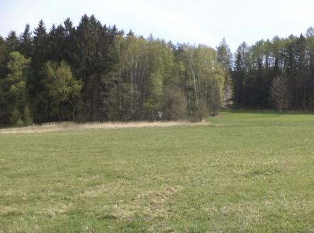 Prodej pozemku, trvalý travní porost, 8 388 m²