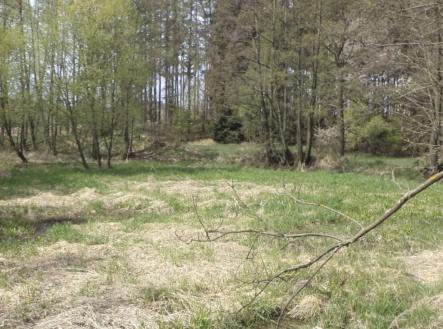 Prodej pozemku, trvalý travní porost, 8 388 m²