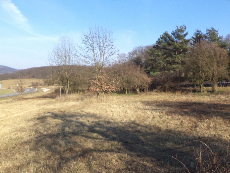 Pozemek o velikosti 2962m2, Radejčín