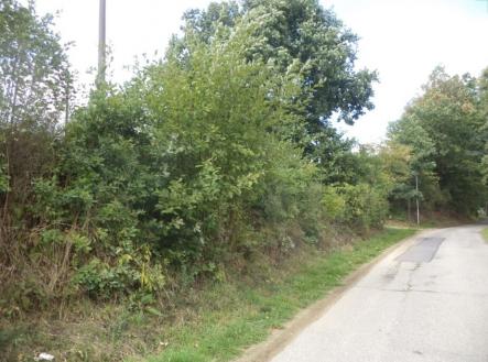 Prodej pozemku, trvalý travní porost, 56 m²